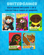 Limited Edition Bundle: UnitedGamer